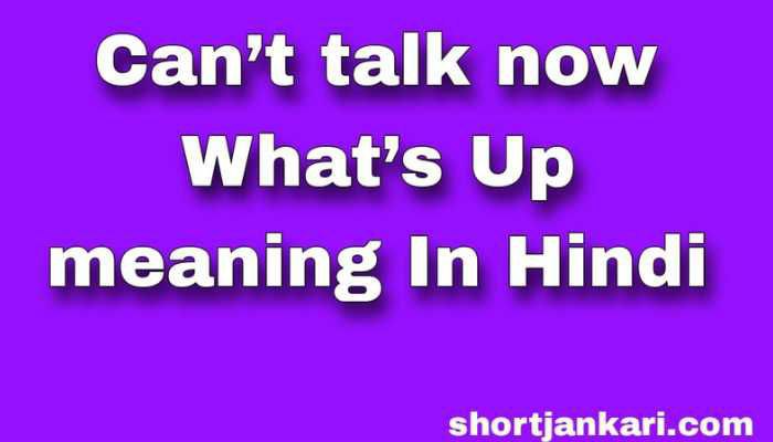 Can’t talk now What’s Up meaning In Hindi