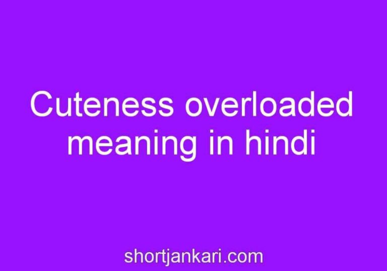 Cuteness overloaded meaning in hindi | Cuteness overloaded का मतलब