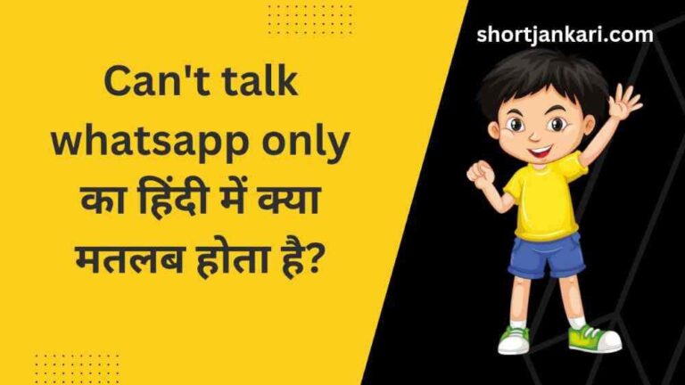 Can't talk whatsapp only meaning in hindi | Can't talk whatsapp only का हिंदी में क्या मतलब होता है?
